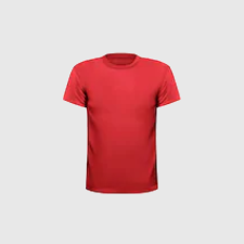 Sports T-Shirt Manufacture Tirupur